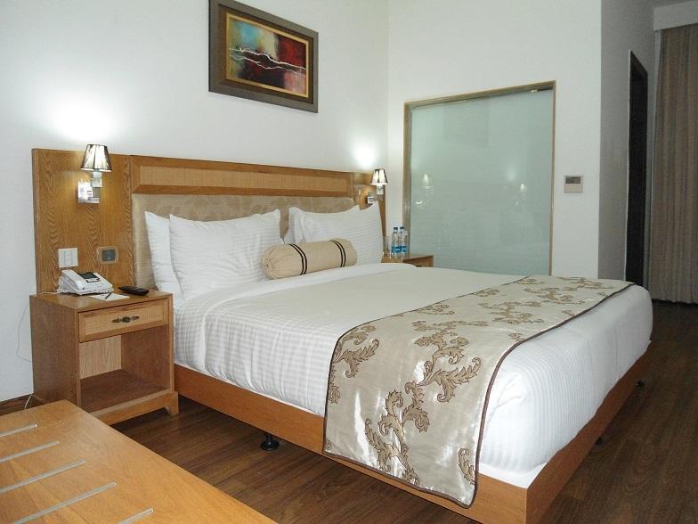 Comfort Inn Anneha Nowe Delhi Pokój zdjęcie
