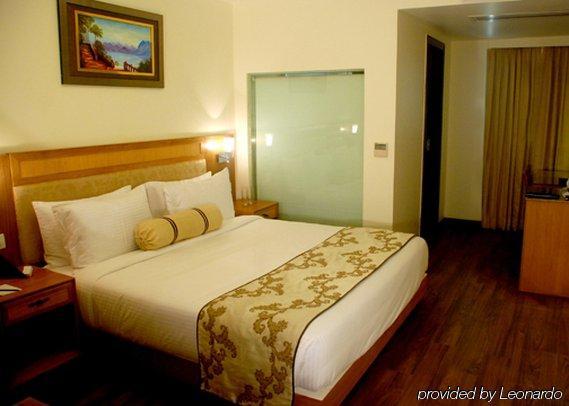 Comfort Inn Anneha Nowe Delhi Pokój zdjęcie