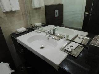 Comfort Inn Anneha Nowe Delhi Zewnętrze zdjęcie